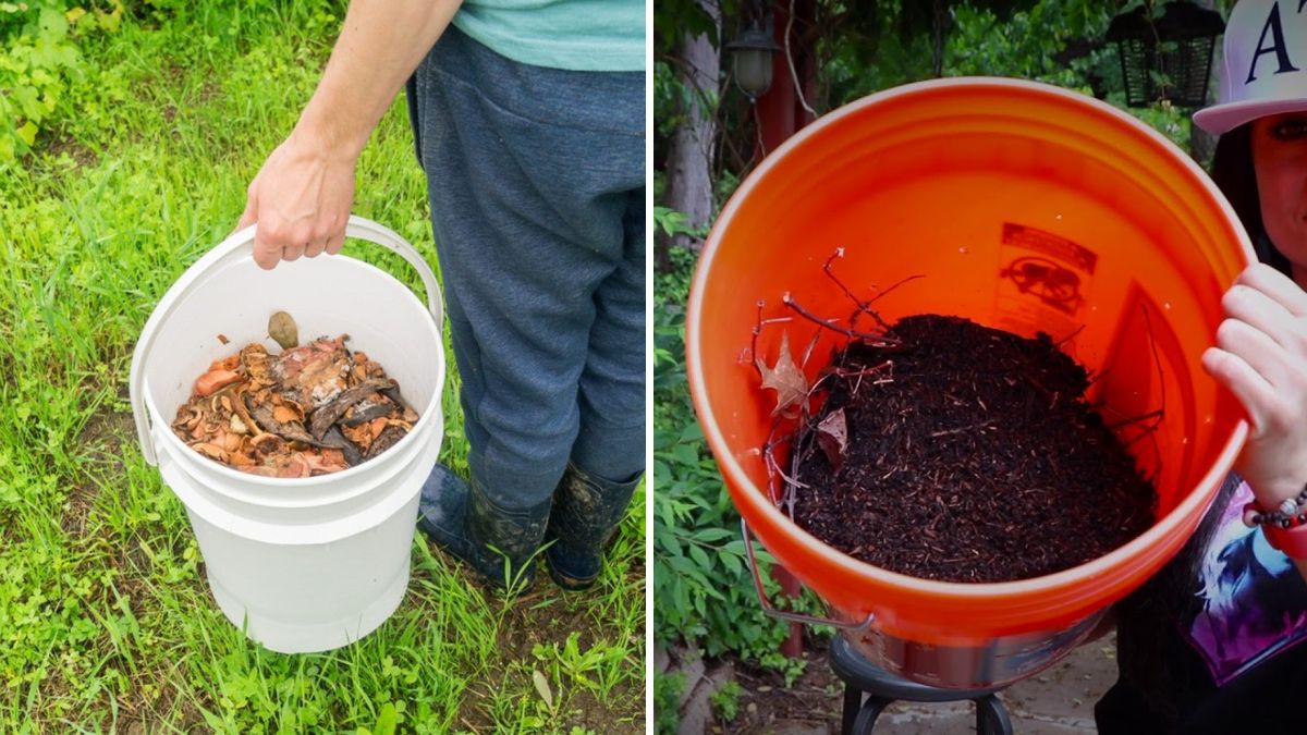 Make Compost in 10 Days | Complete Step-by-Step Fast-Composting Guide (1200 Words)