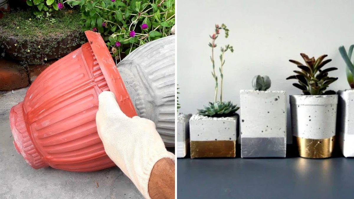 Create Stunning Cement Pots at Home: The Easy Professional Method for Strong, Stylish Planters